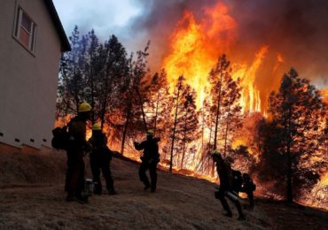 É possível prever e evitar incêndios florestais?