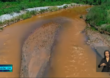 Trabalho de reflorestamento da Bacia do Rio Doce continua depois de 3 anos do desastre