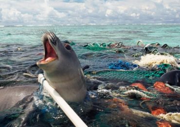 MMA defende plano contra lixo no mar