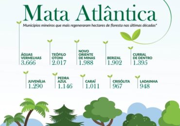 Minas Gerais avança na conservação e regeneração do meio ambiente