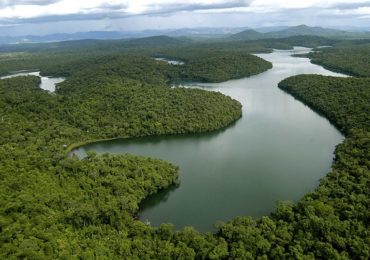 Estado incentiva proprietários de terra a recuperar matas e nascentes