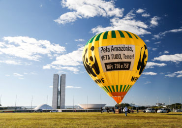 WWF-Brasil faz ato em Brasília e pede veto a medidas que reduzem florestas na Amazônia