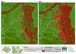 ONG estima que desmatamento em floresta na Amazônia vai dobrar até 2030