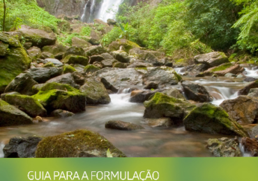 Guia sobre pagamentos por serviços ambientais orientará políticas públicas