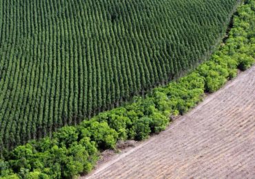 Projeto diminui penas para erros em licenciamentos ambientais