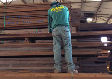 Ibama identifica fraudes em 21 madeireiras de MG