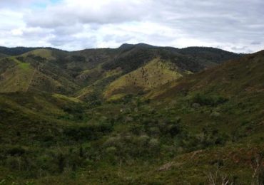 Estação Ecológica de Sagarana agora é parque estadual