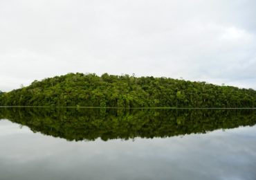 Dia Mundial das Áreas Úmidas chama atenção para crescimento urbano sustentável