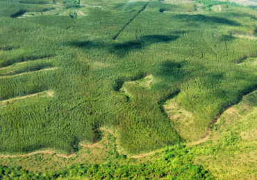 Igam seleciona artigos para publicação referente ao 8º Fórum Mundial da Água