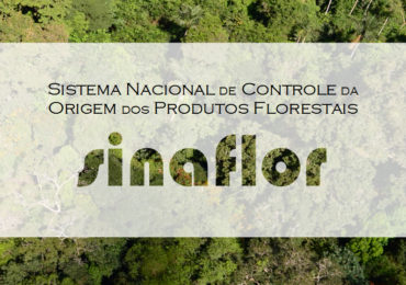 Prazo para adesão dos estados ao Sinaflor termina em maio de 2018