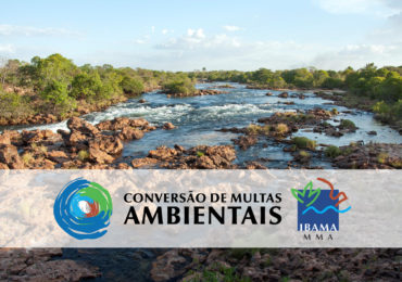 Ibama publica Instrução Normativa sobre conversão de multas ambientais