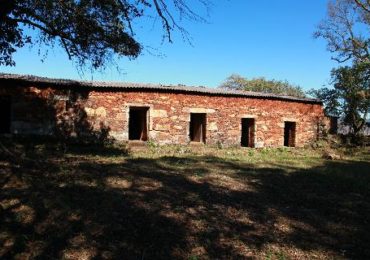 MPMG instaura inquérito civil contra lei estadual que retira proteção de estação ecológica em Itabirito