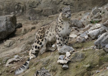 ONU Meio Ambiente lista seis questões ambientais para ficar de olho em 2018