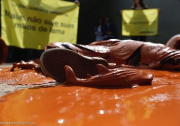 Sem Licença Para Destruir