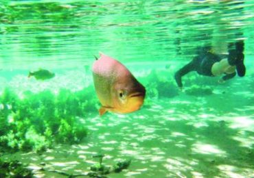 Cidade de Pernambuco dá aos rios os direitos dos cidadãos