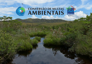 Ibama inicia seleção pública de projetos para Conversão de Multas Ambientais