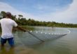 Governo de Minas soma esforços para agilizar o licenciamento ambiental dos piscicultores