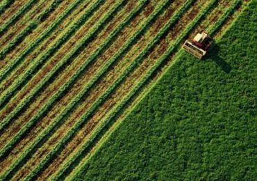 Câmara aprova MP que prorroga por 60 dias prazo de adesão ao Refis Rural