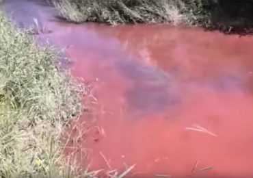 Moradores de Santo Antônio do Grama temem ficar sem água