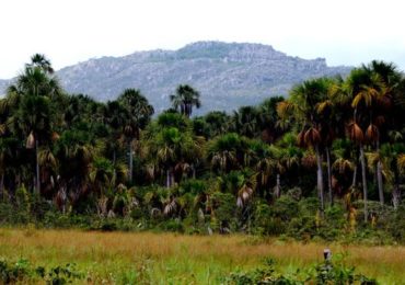 Minas Gerais ganhará unidade de conservação