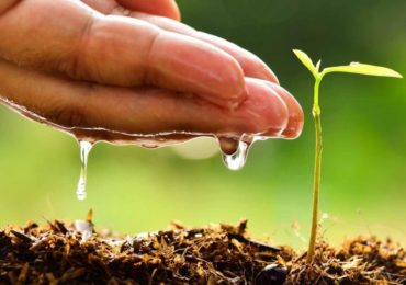 Inscrições para o Prêmio Boas Práticas Ambientais se encerram em 13 de maio