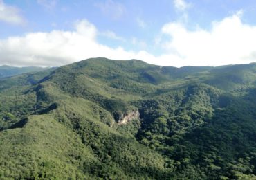 Abaixo assinado a favor da criação do Parque Estadual da Serra Negra da Mantiqueira movimenta as redes sociais nesta semana