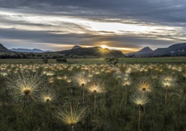 Sete parques nacionais serão abertos para concessão de serviços