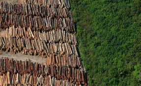 Comissão debate desmatamento ilegal na Amazônia e no Cerrado e metas no Acordo de Paris