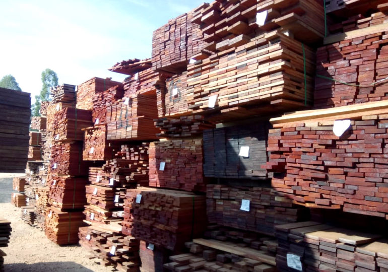 Ibama realiza maior apreensão de madeira ilegal da Amazônia em SP