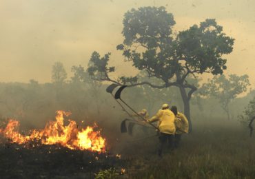 ICMBio se prepara para a temporada de fogo