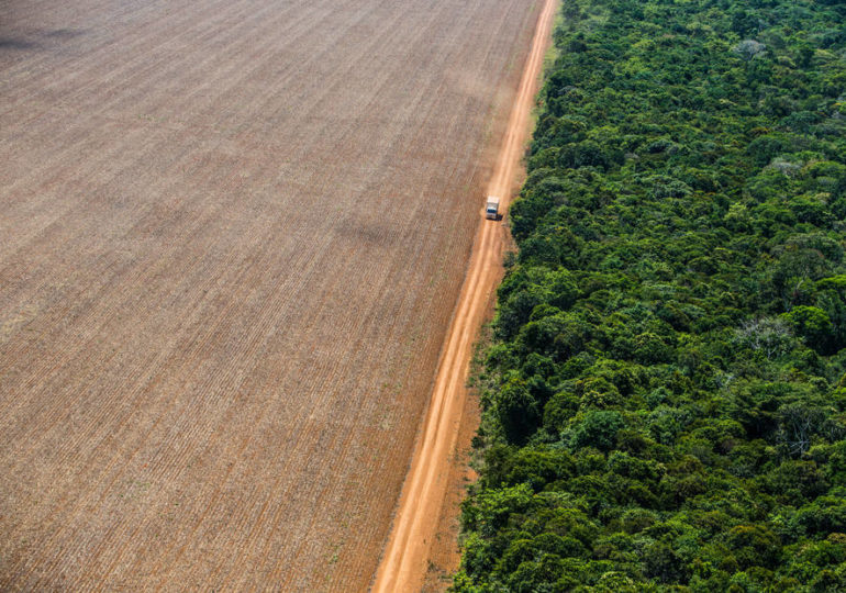 Desmatamento em alta pode minar chance de o Brasil cumprir meta contra aquecimento global