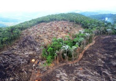 Brasil é o país que mais desmatou nos últimos 34 anos, diz estudo de universidade dos EUA