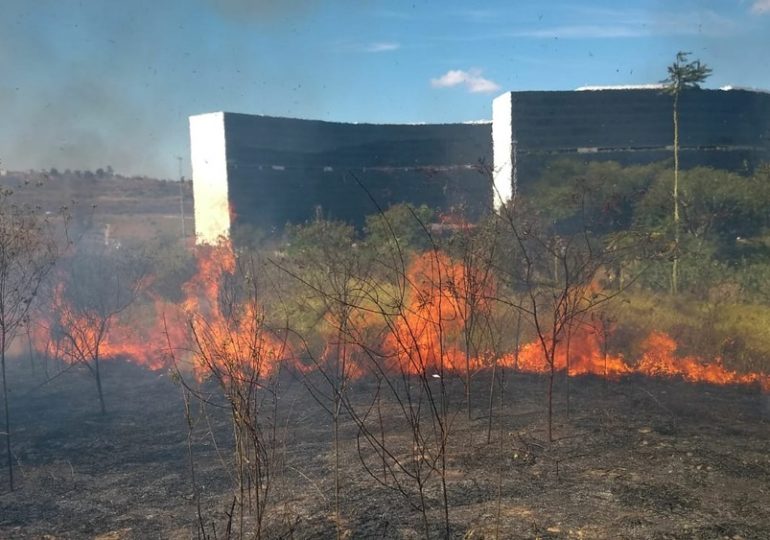 Bombeiros registraram mais de 4 mil queimadas em Minas em junho deste ano