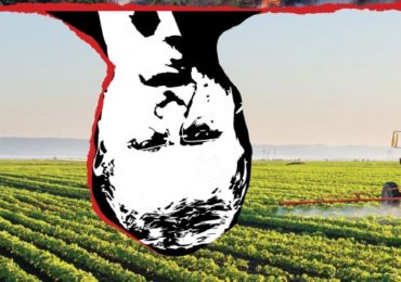 O projeto venenoso do Brasil