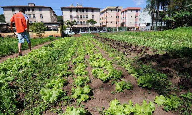 Minas Gerais lança projeto de agroecologia