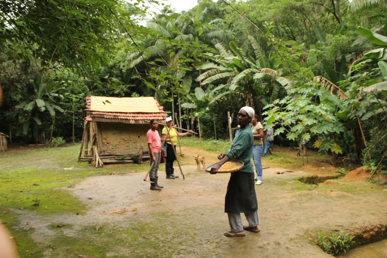 Plantio tradicional de quilombolas recebe título de patrimônio do país