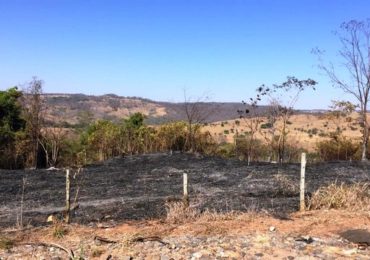 Monitoramento é feito em área incendiada de parque estadual em Uberlândia