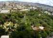 Parque Municipal de Belo Horizonte completa 121 anos nesta quarta