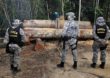 Publicada portaria que autoriza envio da Força Nacional para Amazônia