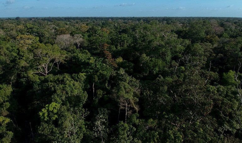 Em menos de uma hora, deputados de Rondônia acabam com mais de 5 bilhões de m2 de áreas protegidas