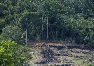 Nova regra do Código Florestal pode aumentar desmatamento na Amazônia