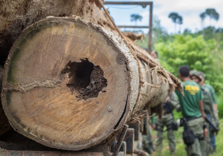 Desmatamento ameaça áreas protegidas da Bacia do Rio Xingu