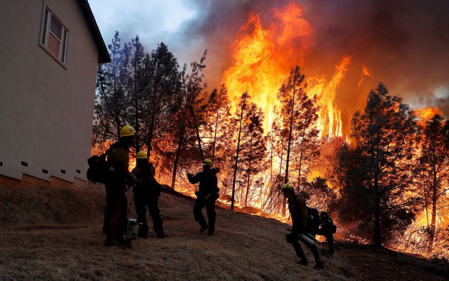 É possível prever e evitar incêndios florestais?