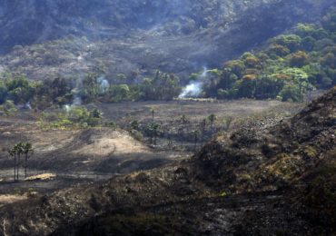 Ministério do Meio Ambiente perde órgãos de água, clima e combate a desmatamento