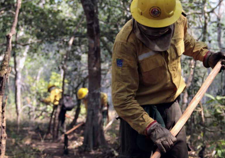 PL que institui política de gestão do fogo é enviado ao Congresso