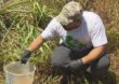 Ambientalistas fazem expedição no Rio Paraopeba, atingido por lama da Vale