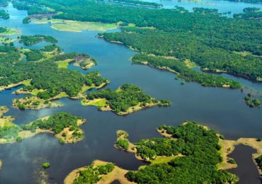 Projeto reduz área de preservação em imóveis da Amazônia Legal