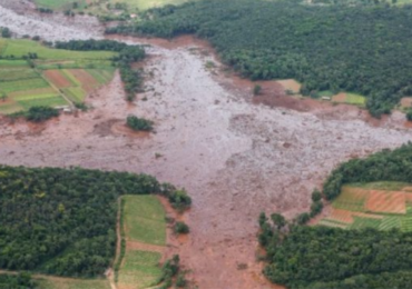 Meio ambiente teve o pior ano de sua história no Brasil