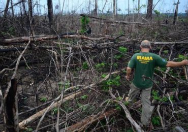 Em documento, chefes de fiscalização do Ibama alertam para risco de apagão