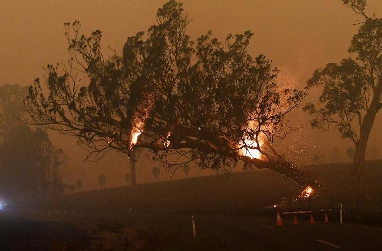 Por que os incêndios na Amazônia preocupam mais do que os da Austrália